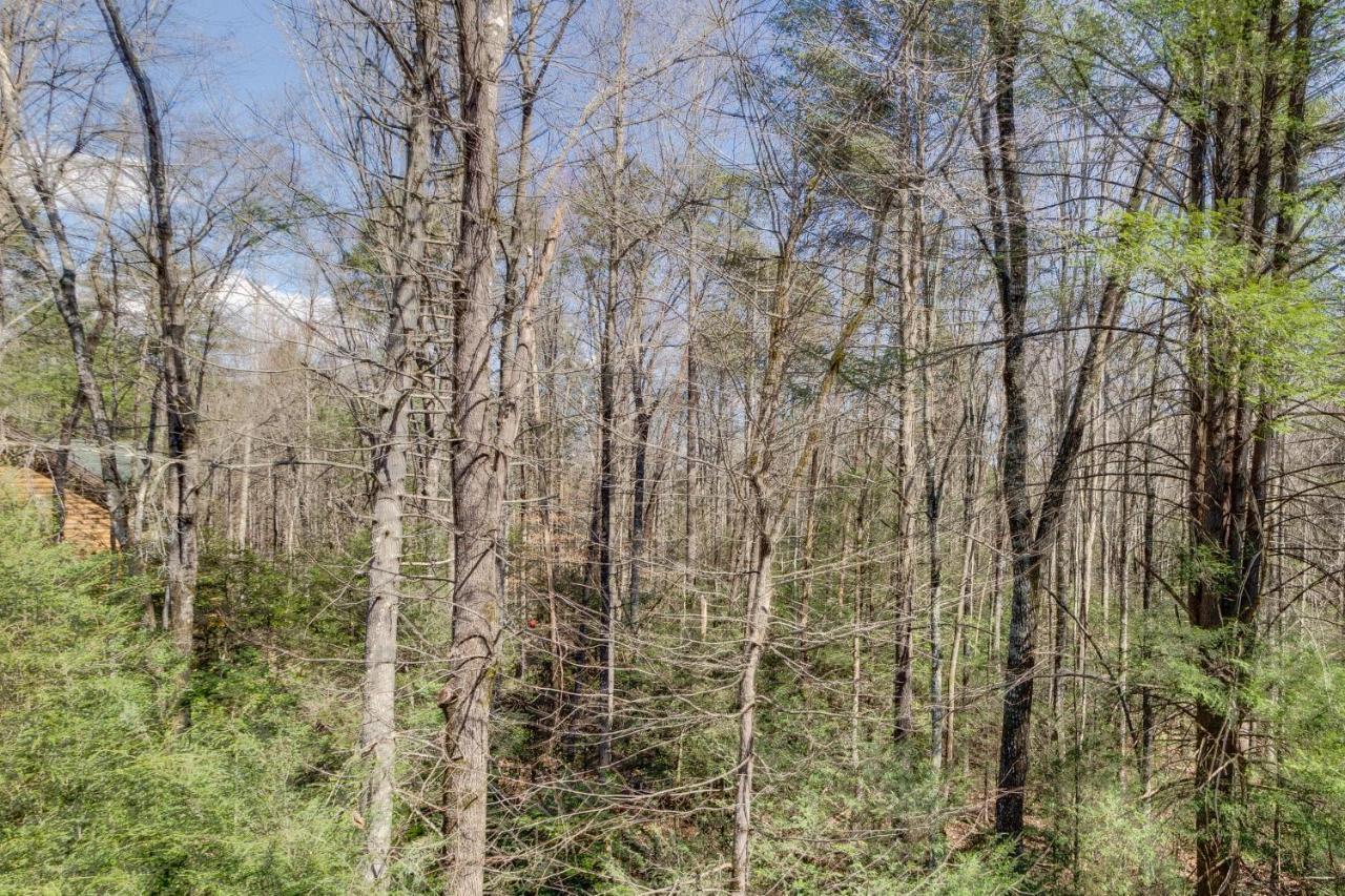 Tennessee Treasure Pigeon Forge Luaran gambar
